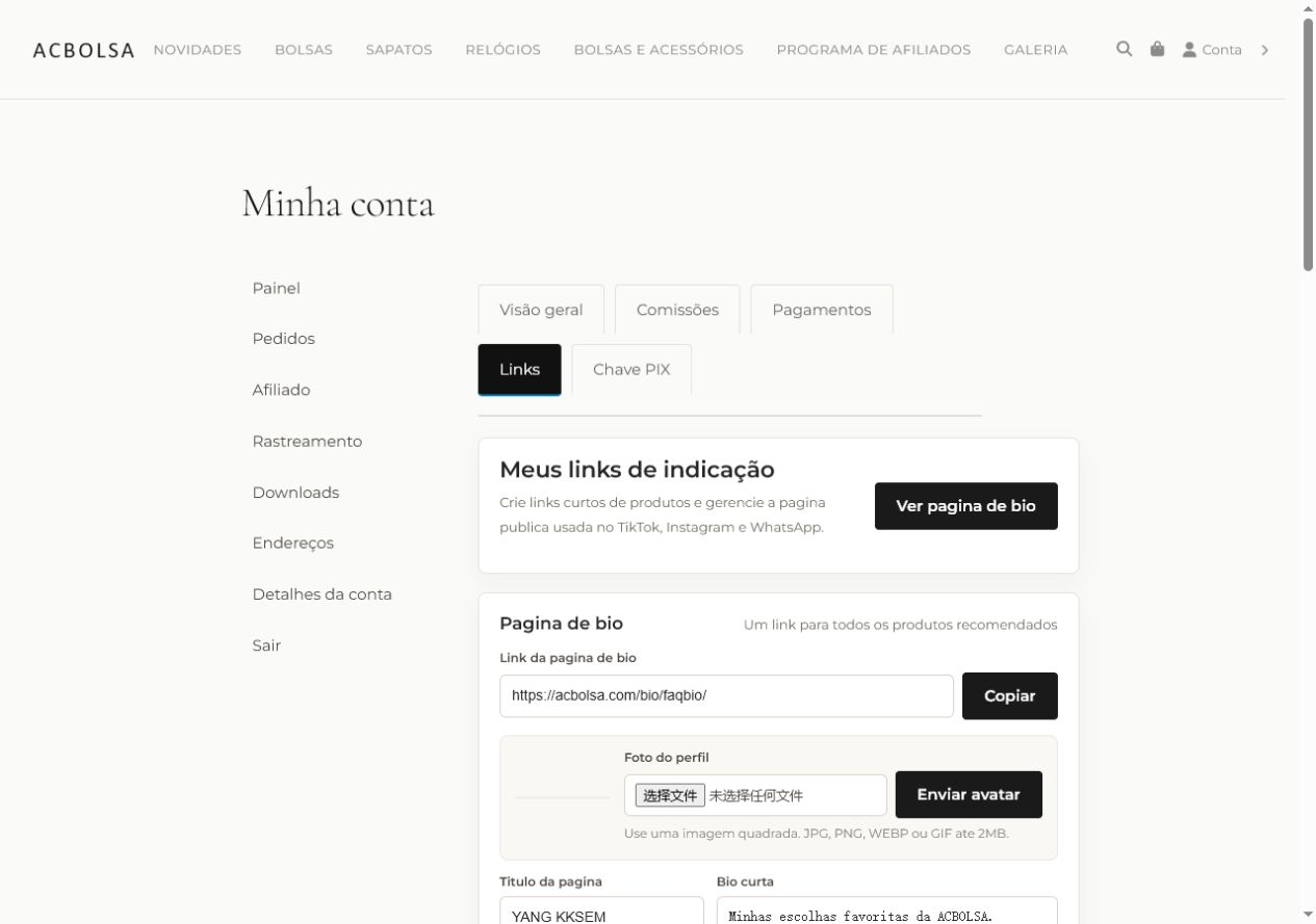 Painel Links com upload de avatar, pagina de bio e links curtos de produtos.