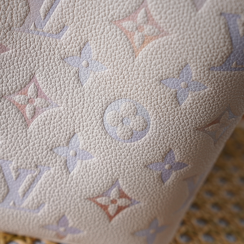 Bolsa All In BB Dream em couro Monogram Empreinte 6