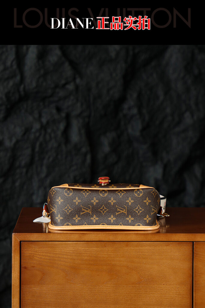 Bolsa Diane PM em canvas Monogram 6