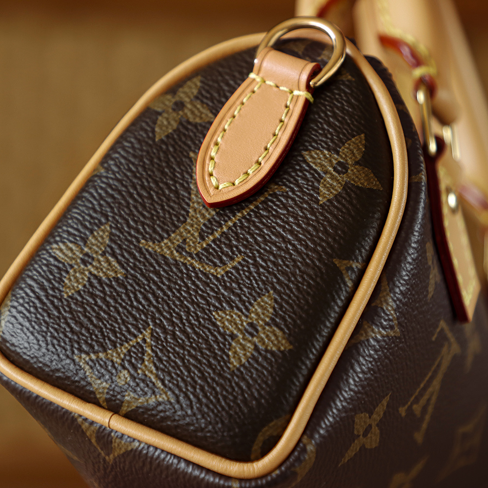 Bolsa Nano Speedy em canvas Monogram 9