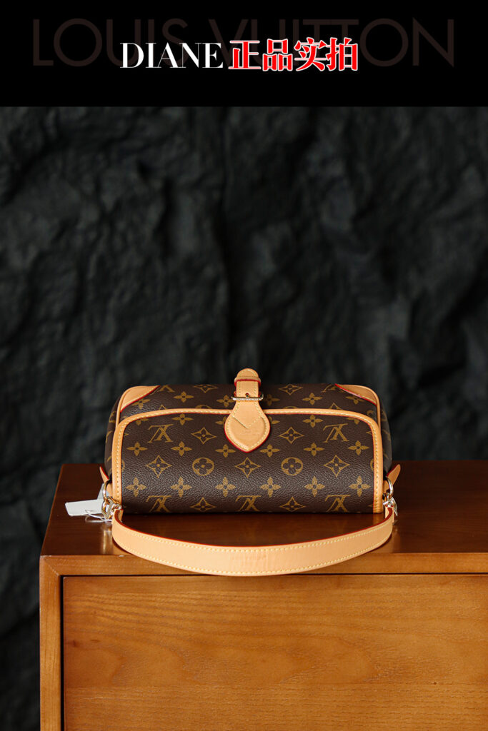 Bolsa Diane PM em canvas Monogram 10