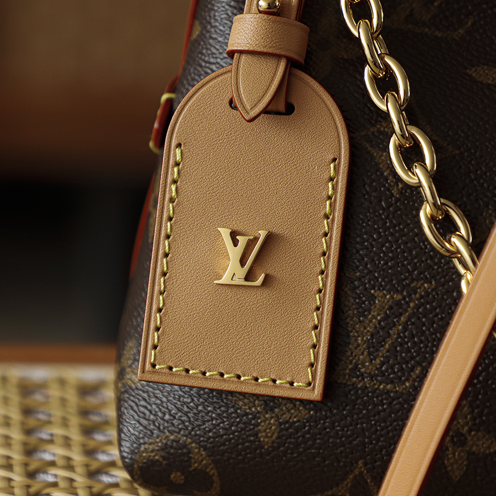 Bolsa CarryAll BB em canvas Monogram 10