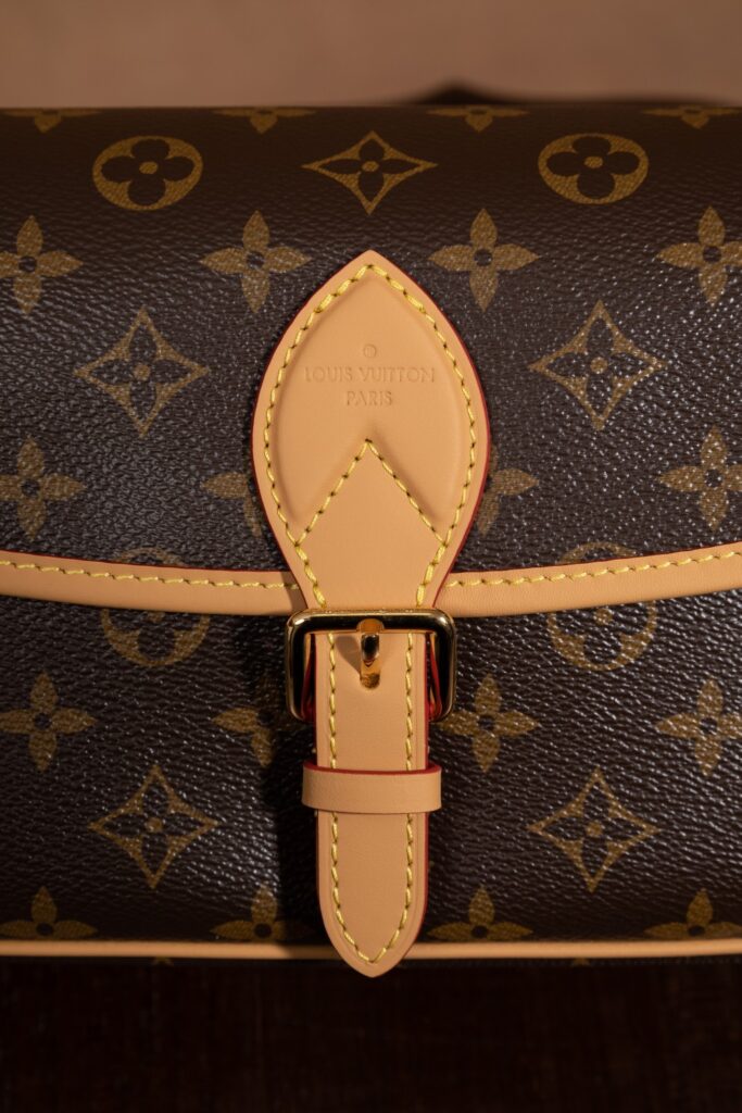 Bolsa Diane PM em canvas Monogram 11