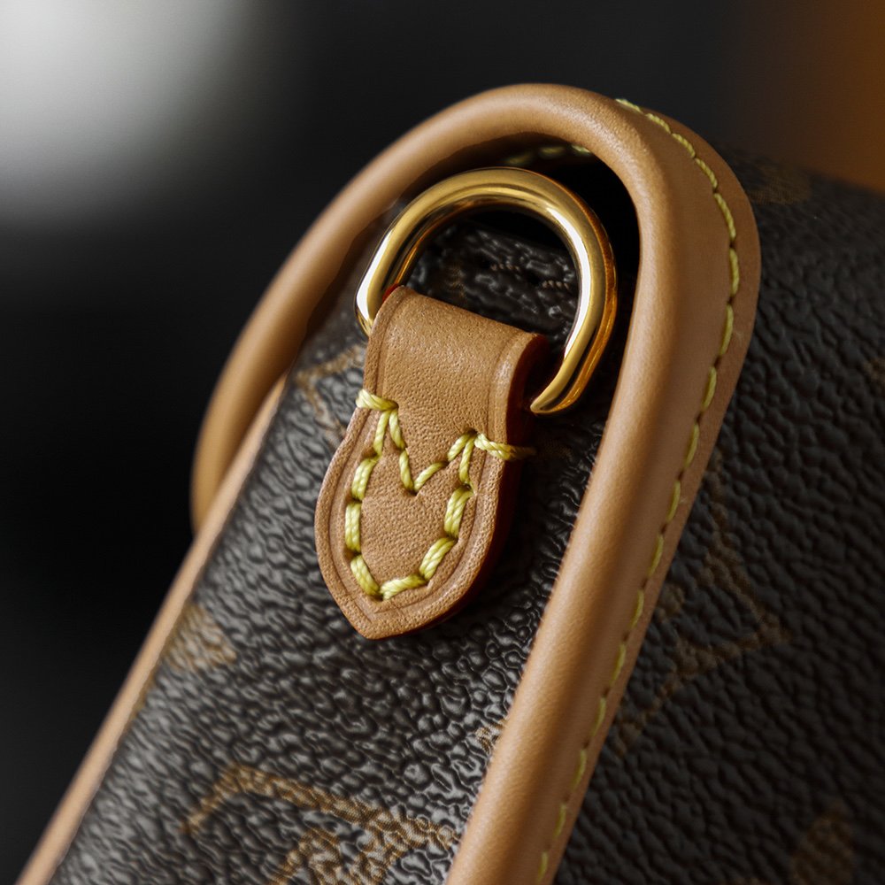 Bolsa Nano Diane em canvas Monogram 11