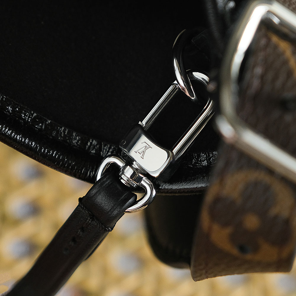 Bolsa CarryAll MM Black Monogram 13