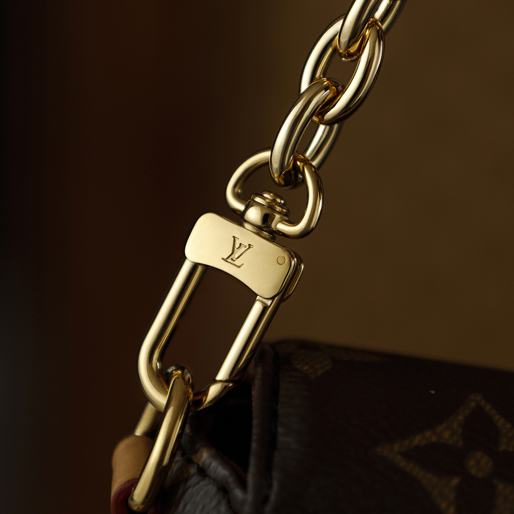 Bolsa Wallet on Chain Ivy em canvas Monogram 14