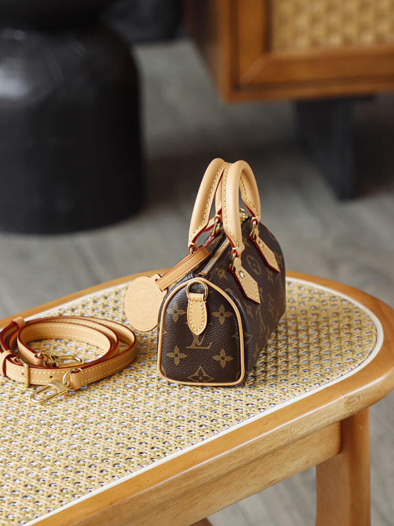 Bolsa Nano Speedy em canvas Monogram 17