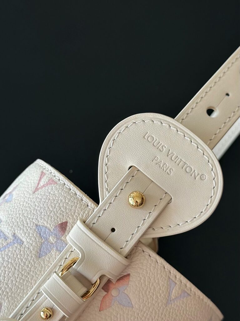 Bolsa All In BB Dream em couro Monogram Empreinte 17