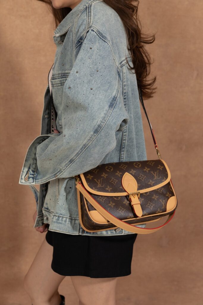 Bolsa Diane PM em canvas Monogram 20