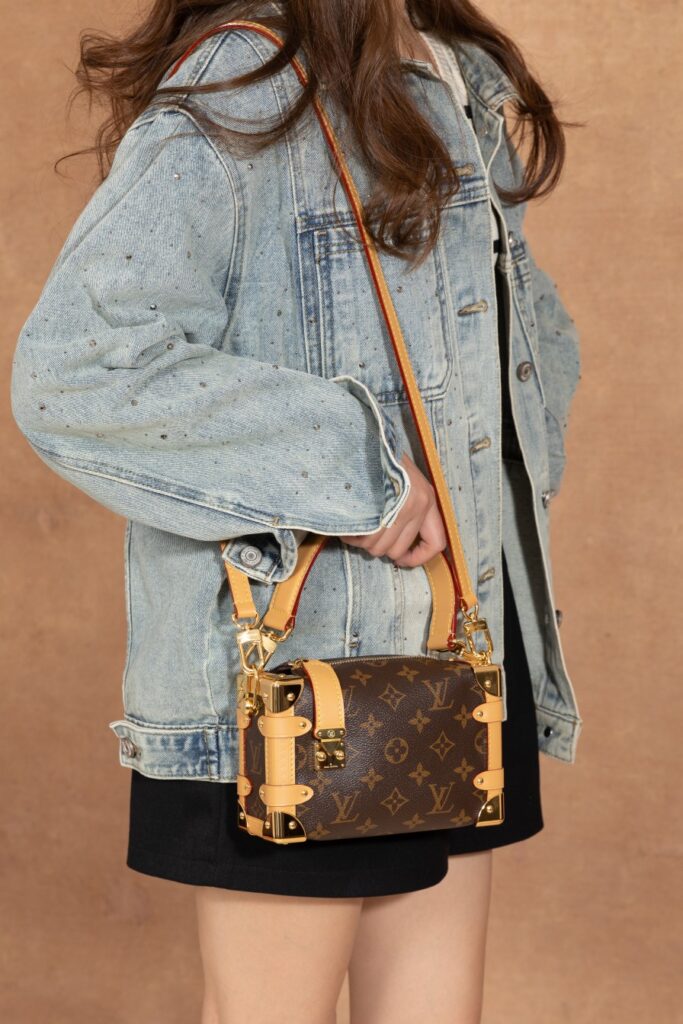 Bolsa Mini Soft Trunk em canvas Monogram 25