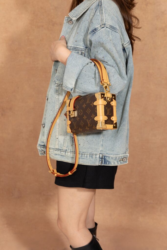 Bolsa Mini Soft Trunk em canvas Monogram 26