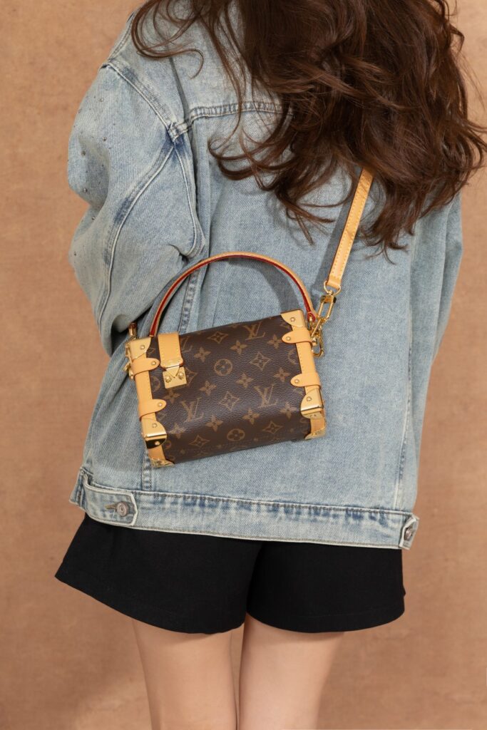 Bolsa Mini Soft Trunk em canvas Monogram 27
